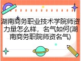 湖南商务职业技术学院师资力量怎么样，名气如何(湖南商务职院师资名气)