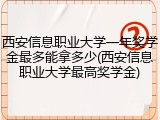 西安信息职业大学一年奖学金最多能拿多少(西安信息职业大学最高奖学金)