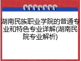 湖南民族职业学院的普通专业和特色专业详解(湖南民院专业解析)