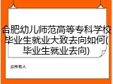 合肥幼儿师范高等专科学校毕业生就业大致去向如何(毕业生就业去向)