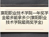 襄阳职业技术学院一年奖学金最多能拿多少(襄阳职业技术学院最高奖学金)