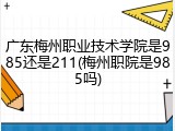 广东梅州职业技术学院是985还是211(梅州职院是985吗)