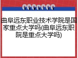 曲阜远东职业技术学院是国家重点大学吗(曲阜远东职院是重点大学吗)