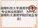湖南科技大学潇湘学院哪些专业就业前景好，为什么(湖南科大潇湘学院好就业专业)