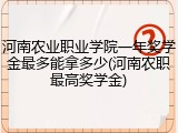 河南农业职业学院一年奖学金最多能拿多少(河南农职最高奖学金)