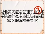 湖北黄冈应急管理职业技术学院读什么专业比较有前景(黄冈职院前景专业)
