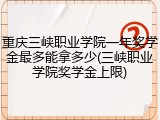 重庆三峡职业学院一年奖学金最多能拿多少(三峡职业学院奖学金上限)