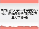 西南石油大学一年学费多少钱，还有哪些费用(西南石油大学费用)