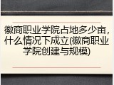 徽商职业学院占地多少亩，什么情况下成立(徽商职业学院创建与规模)