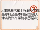 天津滨海汽车工程职业学院是专科还是本科院校呢(天津滨海汽车学院学历层次)