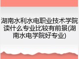 湖南水利水电职业技术学院读什么专业比较有前景(湖南水电学院好专业)