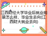 江西财经大学毕业后就业前景怎么样，毕业生去向(江西财大就业去向)