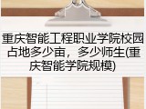 重庆智能工程职业学院校园占地多少亩，多少师生(重庆智能学院规模)