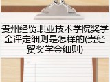 贵州经贸职业技术学院奖学金评定细则是怎样的(贵经贸奖学金细则)