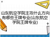 山东航空学院主攻什么方向有哪些王牌专业(山东航空学院王牌专业)