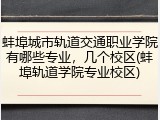 蚌埠城市轨道交通职业学院有哪些专业，几个校区(蚌埠轨道学院专业校区)