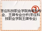 枣庄科技职业学院有哪些专业，王牌专业分析(枣庄科技职业学院王牌专业)