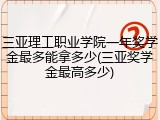 三亚理工职业学院一年奖学金最多能拿多少(三亚奖学金最高多少)