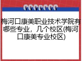 梅河口康美职业技术学院有哪些专业，几个校区(梅河口康美专业校区)