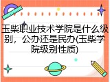 玉柴职业技术学院是什么级别，公办还是民办(玉柴学院级别性质)