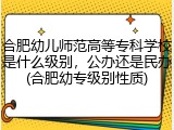 合肥幼儿师范高等专科学校是什么级别，公办还是民办(合肥幼专级别性质)