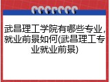 武昌理工学院有哪些专业，就业前景如何(武昌理工专业就业前景)