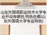 山东外国语职业技术大学专业开设有哪些,特色在哪(山东外国语大学专业特色)