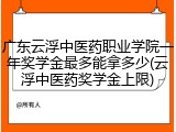 广东云浮中医药职业学院一年奖学金最多能拿多少(云浮中医药奖学金上限)