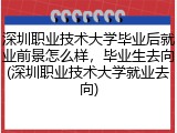 深圳职业技术大学毕业后就业前景怎么样，毕业生去向(深圳职业技术大学就业去向)