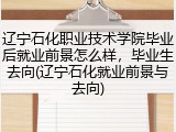 辽宁石化职业技术学院毕业后就业前景怎么样，毕业生去向(辽宁石化就业前景与去向)