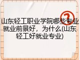山东轻工职业学院哪些专业就业前景好，为什么(山东轻工好就业专业)