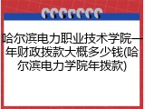 哈尔滨电力职业技术学院一年财政拨款大概多少钱(哈尔滨电力学院年拨款)