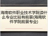 海南软件职业技术学院读什么专业比较有前景(海南软件学院前景专业)