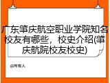 广东肇庆航空职业学院知名校友有哪些，校史介绍(肇庆航院校友校史)