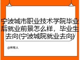 宁波城市职业技术学院毕业后就业前景怎么样，毕业生去向(宁波城院就业去向)
