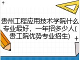 贵州工程应用技术学院什么专业最好，一年招多少人(贵工院优势专业招生)