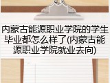 内蒙古能源职业学院的学生毕业都怎么样了(内蒙古能源职业学院就业去向)