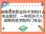 湖南信息职业技术学院什么专业最好，一年招多少人(湖南信息学院热门专业)