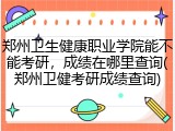 郑州卫生健康职业学院能不能考研，成绩在哪里查询(郑州卫健考研成绩查询)