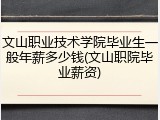 文山职业技术学院毕业生一般年薪多少钱(文山职院毕业薪资)