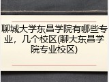 聊城大学东昌学院有哪些专业，几个校区(聊大东昌学院专业校区)
