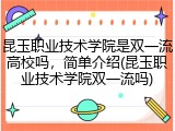 昆玉职业技术学院是双一流高校吗，简单介绍(昆玉职业技术学院双一流吗)