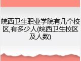皖西卫生职业学院有几个校区,有多少人(皖西卫生校区及人数)