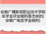 安徽广播影视职业技术学院奖学金评定细则是怎样的(安徽广电奖学金细则)