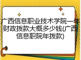 广西信息职业技术学院一年财政拨款大概多少钱(广西信息职院年拨款)