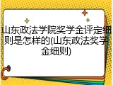 山东政法学院奖学金评定细则是怎样的(山东政法奖学金细则)