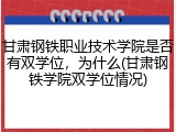 甘肃钢铁职业技术学院是否有双学位，为什么(甘肃钢铁学院双学位情况)