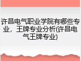 许昌电气职业学院有哪些专业，王牌专业分析(许昌电气王牌专业)