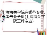 上海海关学院有哪些专业，王牌专业分析(上海海关学院王牌专业)