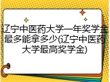 辽宁中医药大学一年奖学金最多能拿多少(辽宁中医药大学最高奖学金)